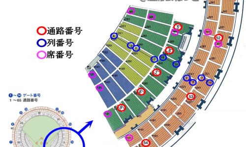 疤痕止痒软化乳膏-疤痕止痒-疤痕止痒软化乳膏对疤痕增生有用吗,中国疤痕止痒软化膏图片网站