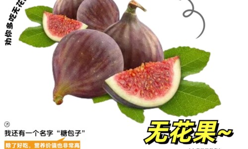 疤痕止痒软化乳膏-疤痕止痒-疤痕止痒软化乳膏对疤痕增生有用吗,中国疤痕止痒软化膏图片网站